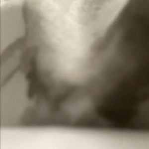 Meet your Posher, Joanna